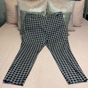 New York & Company checked pant